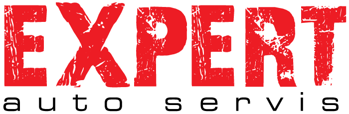 expert-logo-big